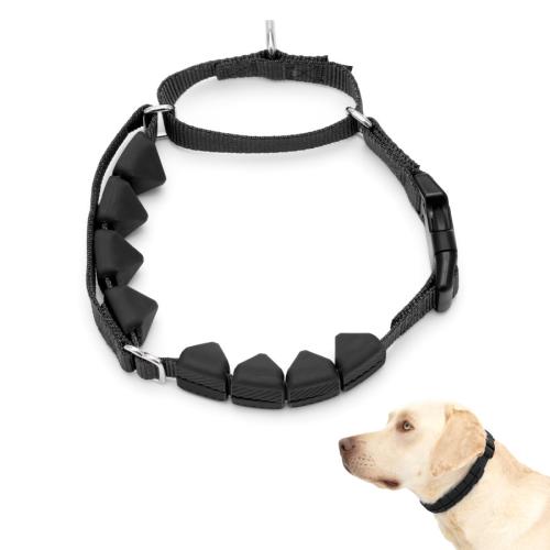 Petsafe Dog Collar Soft Point Training Collar 1" Lg