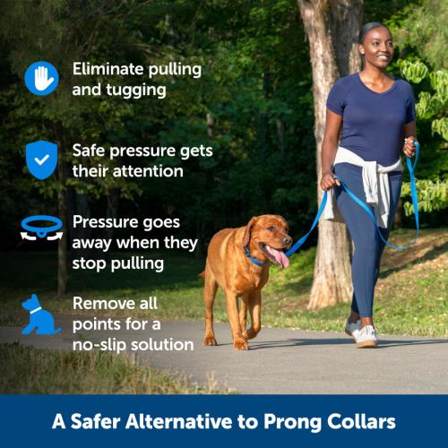 Petsafe Dog Collar Soft Point Training Collar  3/4" Md