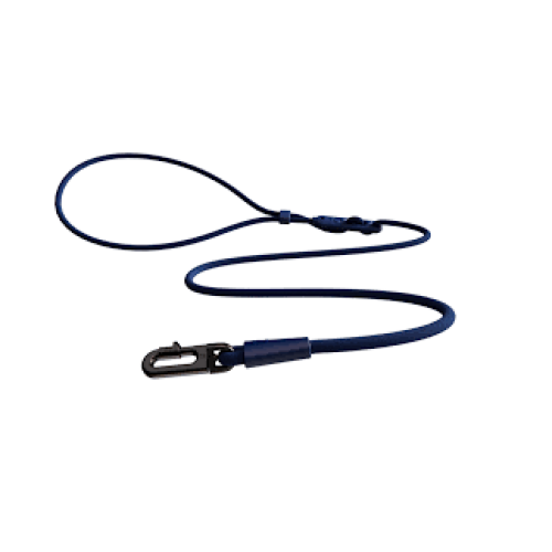 Zeedog Hands-Free Leash Deep Blue
