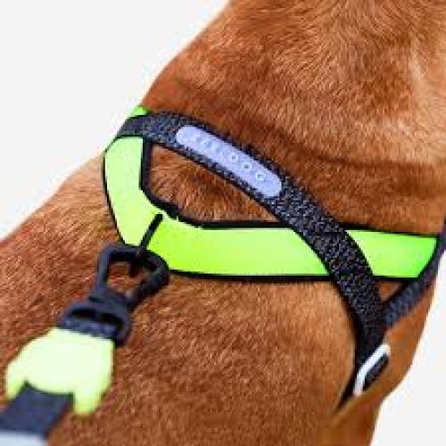 Zeedog DOg Harness SofterWalk Anti-Pull NOX Medium