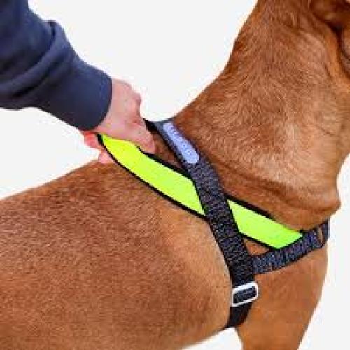 Zeedog DOg Harness SofterWalk Anti-Pull NOX Medium