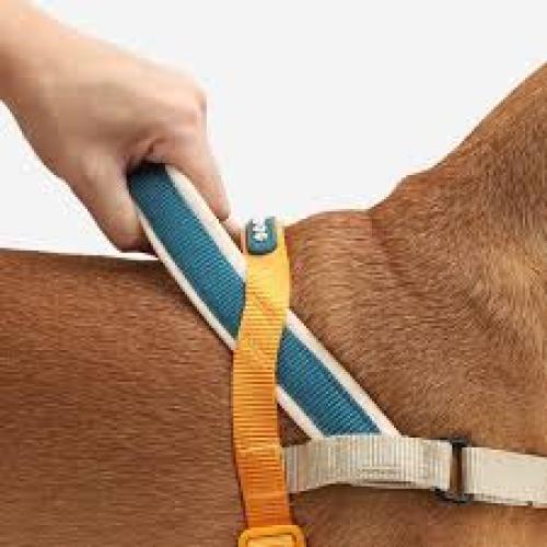 ZeeDog Dog Harness SofterWalk Anti-Pull Voyage Medium