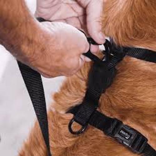 ZeeDog Neopro Dog Harness Black Medium
