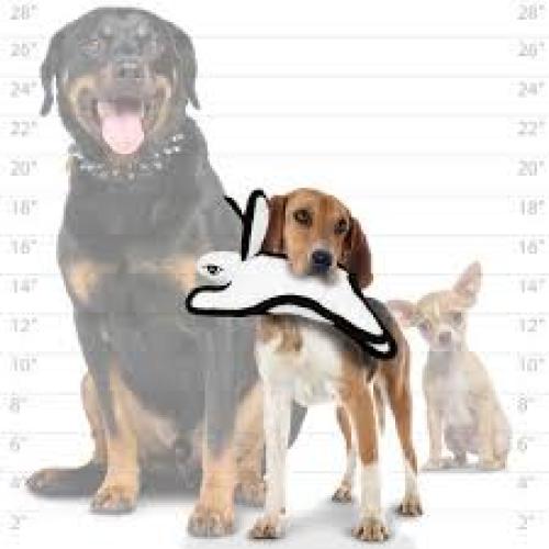 Tuffy Jr Barnyard Rabbit White