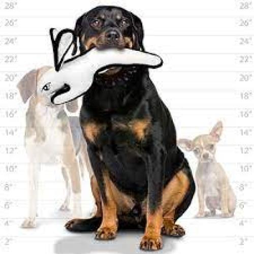 Tuffy Barnyard Rabbit White