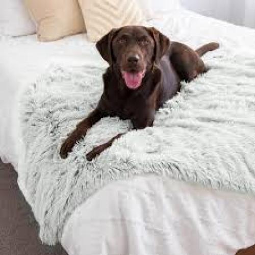 Best Friends Pet Calming Blanket Shag Taupe 40"x50"