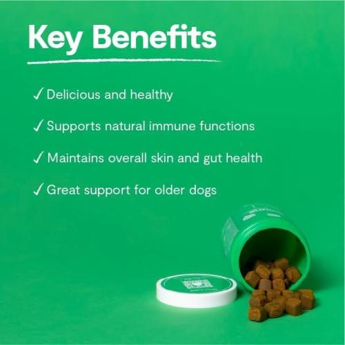 Open Farm Dog Supplement Immune Chews 90ct