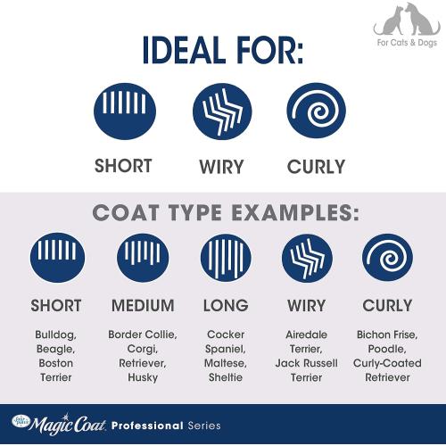 Four Paws Magic Coat Grooming Antibacterial Curry Brush