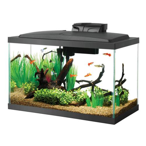 Aqueon Aquarium Standard Rectangle Tank 10gal