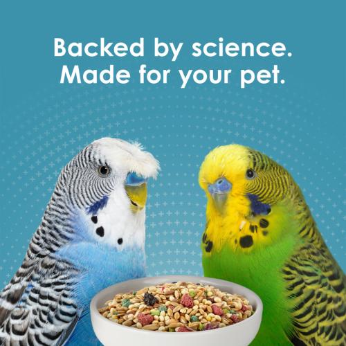 Kaytee Forti-Diet Nourish + Protect Parakeet 4#