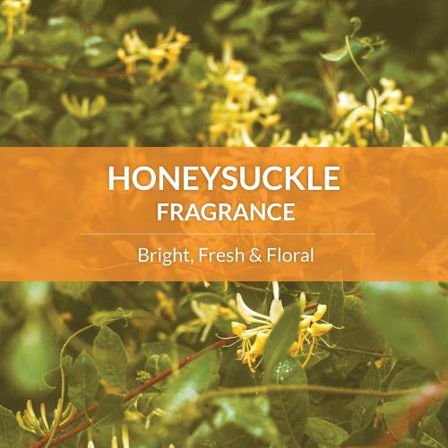 Skout's Honor Probiotic Dog Detangler Honeysuckle 8oz