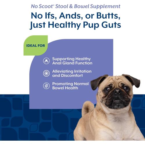 NaturVet Dog Supplement No Scoot Soft Chews 60ct