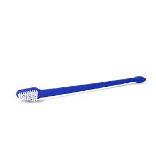 PRODENTAL TOOTHBRUSH (SINGLE)