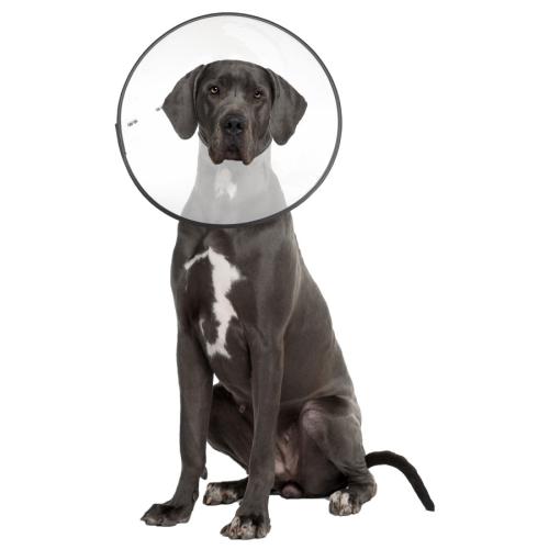 ZenPet E-Clear Plastic Recovery Collar XXLarge