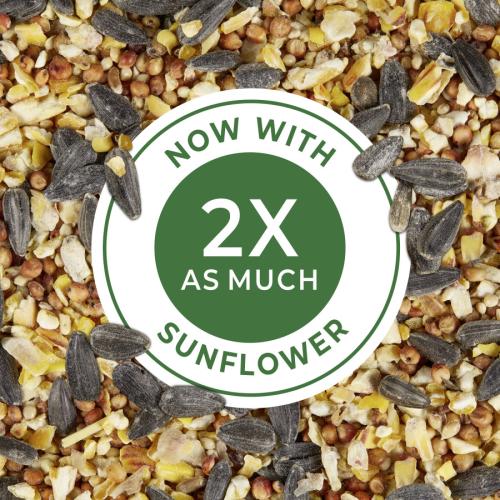 Kaytee Striped Sunflower Wild Bird Food, 5lb