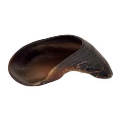 Cow Hoof Dog Treat Single