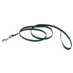 Coastal Dog Leash 3/8