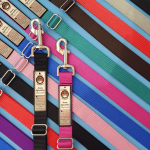 Sadie's Adjustable Dog Leash Small Magenta 6' X 5/8