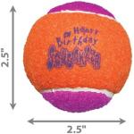 KONG Dog Toy Birthday Squeaker Balls Medium 3pk