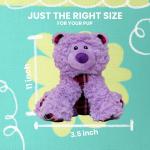 Snugarooz Dog Toy Bella The Bear 11"