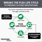 Frontline Cat Flea Meds Plus Over 1.5# 3pk
