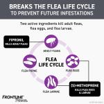 Frontline Plus Dog Flea Meds 5-22# 3pk