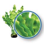 Weco Aquarium Decor Amazon Ruffled Sword 6