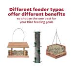 Kaytee Nut And Fruit Seed Treat Bell
