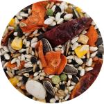 Sweetharvest Parrot Bird Food (with Sunflower Seeds), 4lb