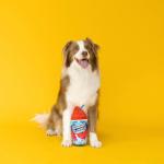 Wagsdale Dog Toy Slobberee Slushiez