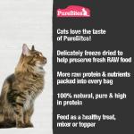 PureBites Cat Treats Freeze-Dried Shrimp 0.38oz