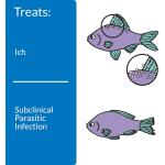 API Fish Med Super Ick Cure 4oz