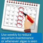 API Aquarium Supply AlgaeFix 1.25oz