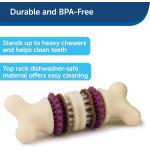 Petsafe Dog Toy Bristle Bone Medium