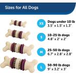 Petsafe Dog Toy Bristle Bone Medium