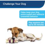 Petsafe Dog Toy Bristle Bone Large