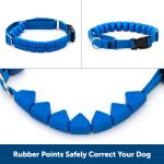 Petsafe Dog Collar Soft Point Training Collar  3/4" Md