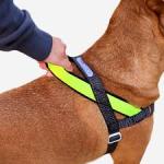 Zeedog DOg Harness SofterWalk Anti-Pull NOX Medium