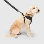 Canada Pooch Dog Harness Easy-On Black Medium