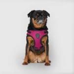 Canada Pooch Dog Harness Easy-On Plum Medium