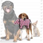 Tuffy Dog Toy Jr Barnyard Pig