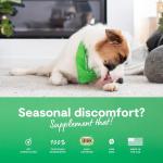 Open Farm Dog Supplement Immune Chews 90ct