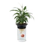 Penn Plax Aqua Ponics Betta Bowl Kit 2L