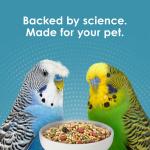 Kaytee Forti-Diet Nourish + Protect Parakeet 4#