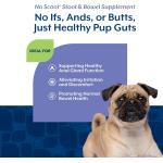 NaturVet Dog Supplement No Scoot Soft Chews 60ct