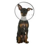 ZenPet E-Clear Plastic Recovery Collar Small