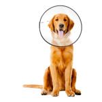 ZenPet E-Clear Plastic Recovery Collar Large