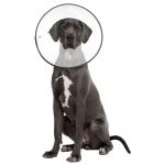 ZenPet E-Clear Plastic Recovery Collar XXLarge