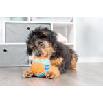 Chuckit! Dog Toy Indoor Ball