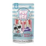 Spot Dog Treat Pup Ice Rocket Lollie Strawberry Blueperry 2pk